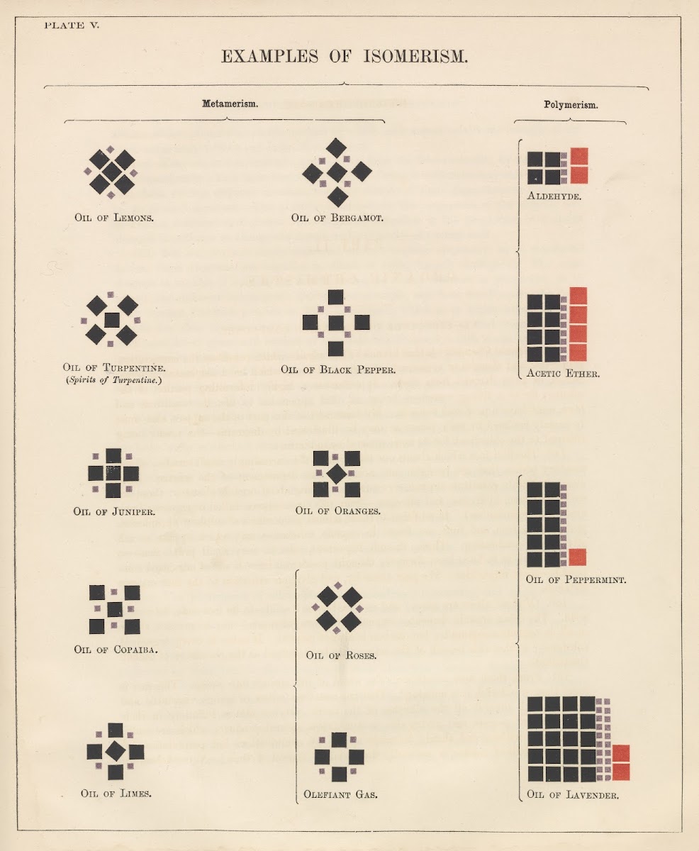 Plate V Examples of Isomerism 1856