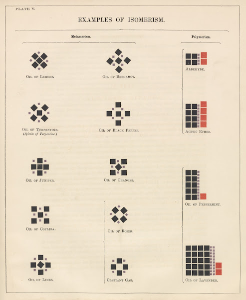 Plate V Examples of Isomerism 1856