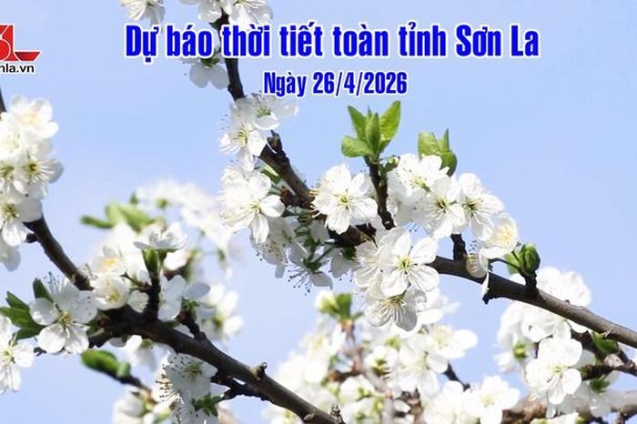 Dự báo thời tiết toàn tỉnh Sơn La ngày 26/4/2026 - Báo Sơn La