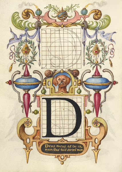 Guide for Constructing the Letter D 15611596