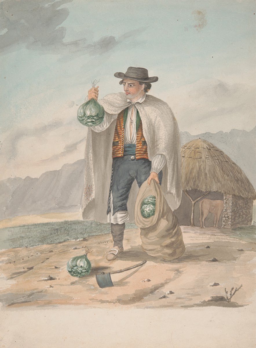Tenerife Man of Tacoronte 1828 3017x4096 (1)