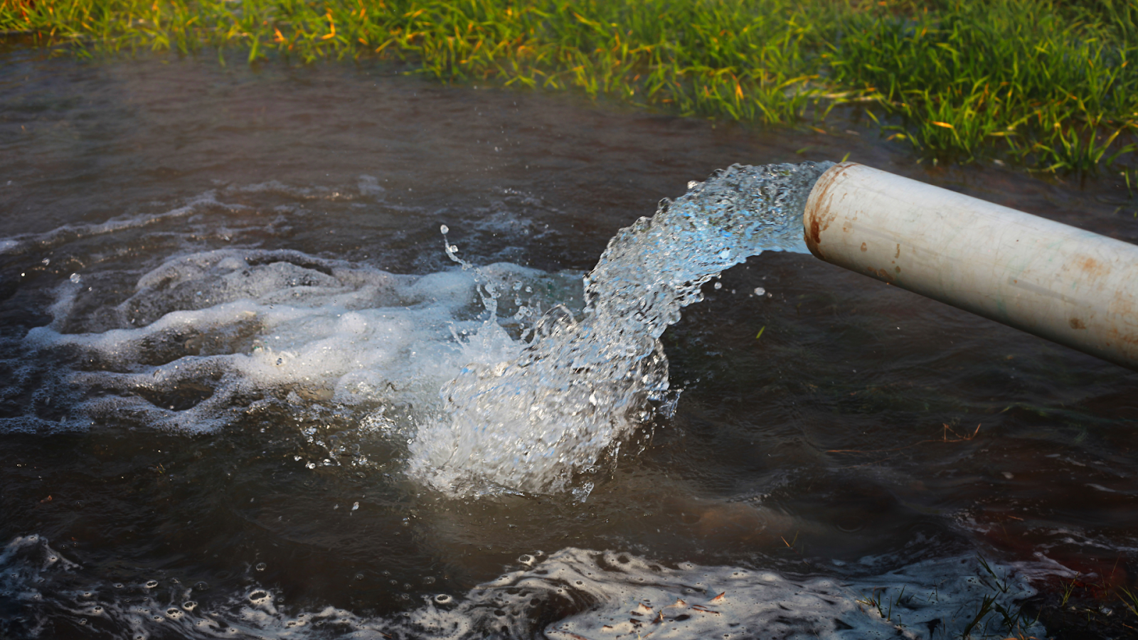 Agricultural practices aimed at reducing carbon emissions might overlook the significant water consumption associated with crop cultivation. The expansion of water-intensive crops like corn for ethanol can exacerbate water scarcity in regions where water is already scarce.