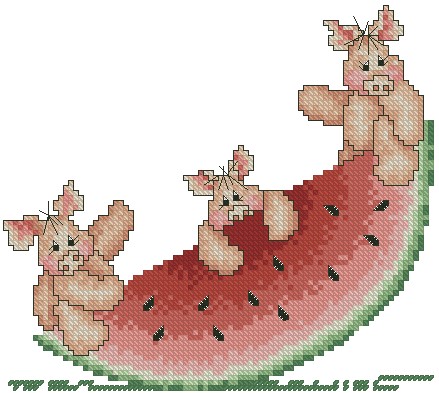 CMP P111 Pig And Watermelon