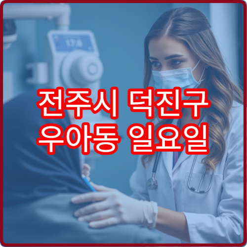 전주시 덕진구 우아동 일요일 진료 안과 눈 피로 검사
