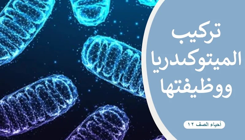 صورة الغلاف