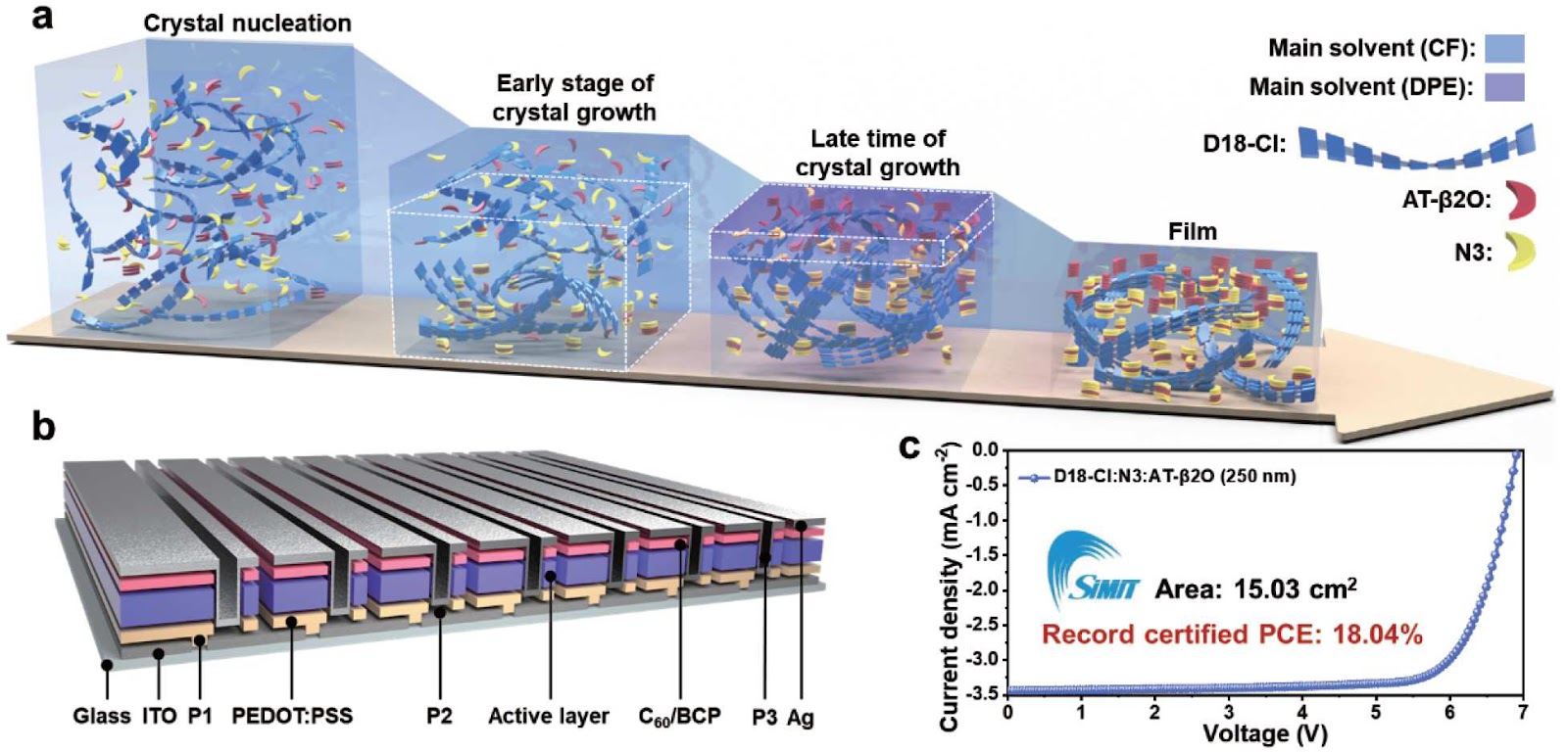 Sequential Crystallization during the Formation of Bulk Heterojunction in Organic Solar Cells