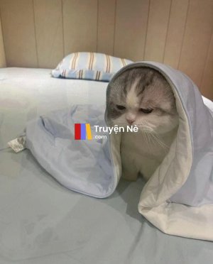 Ai Đang Nhắn Tin