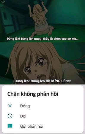 Ảnh bình luận