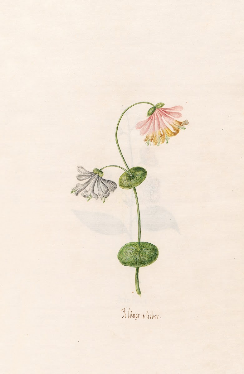 Je längrie lieber 1692