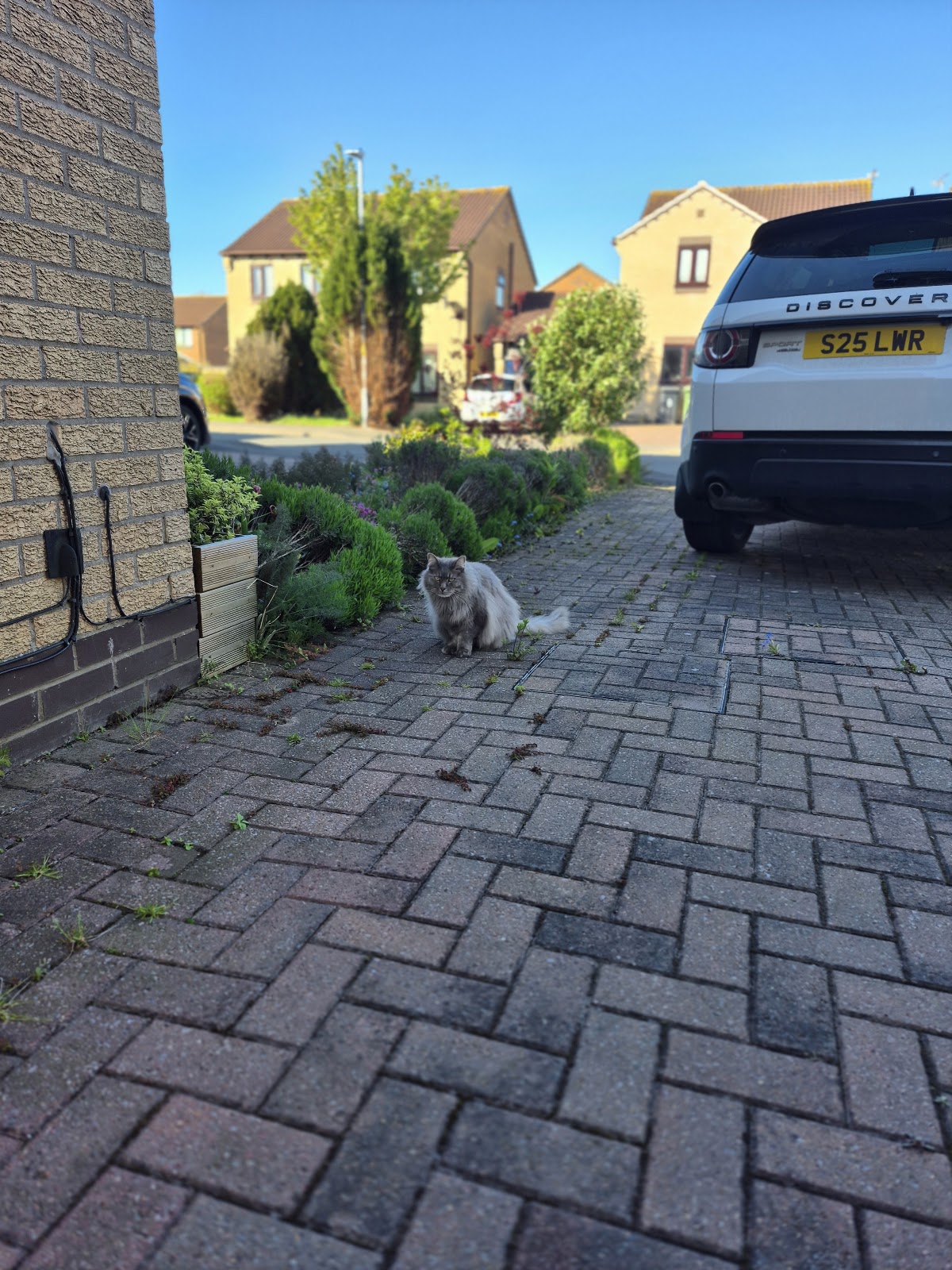 Freshly laid turf and lawn renovation carried out by LWR Group in Lincolnshire