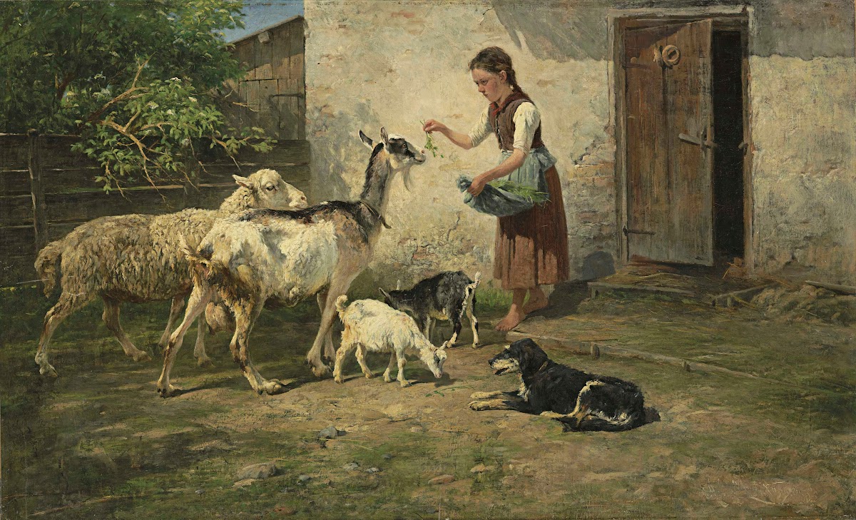 Feeding Time