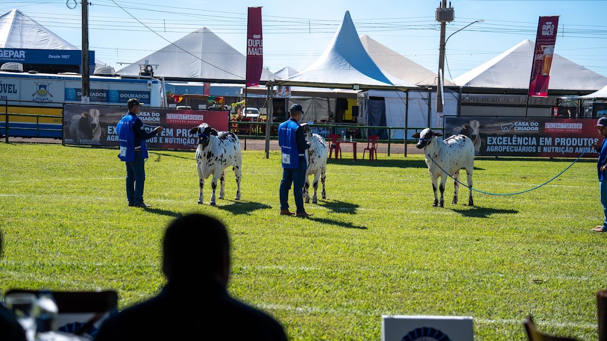 EXPOALAN 3 (6) - Expoagro 2026