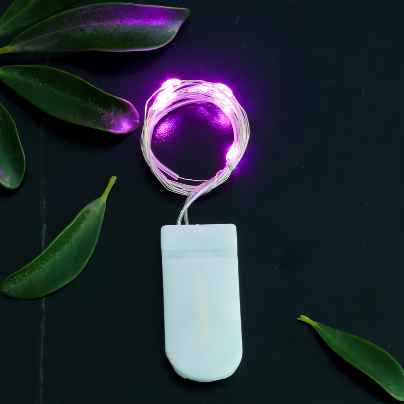 LED Copper Wire String Light with Button Cell Battery Box