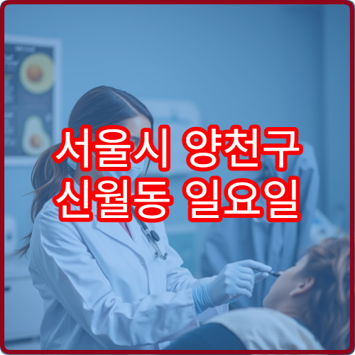 서울시 양천구 신월동 일요일 진료 가능한 소아청소년과 아이 발열 대처 정보
