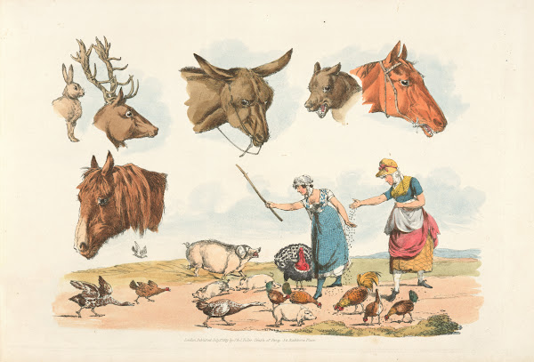 Two women feeding domestic birds also six heads of domestic and wild animals 181