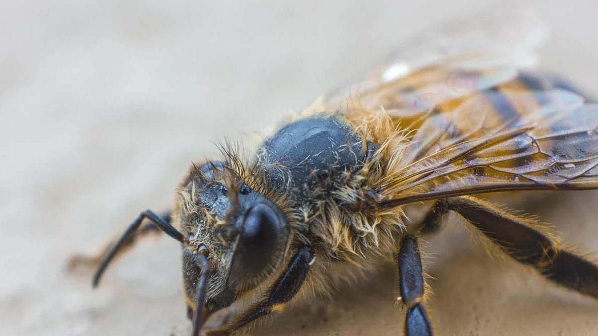API 인증 방식별 원리와 적용 방법 비교