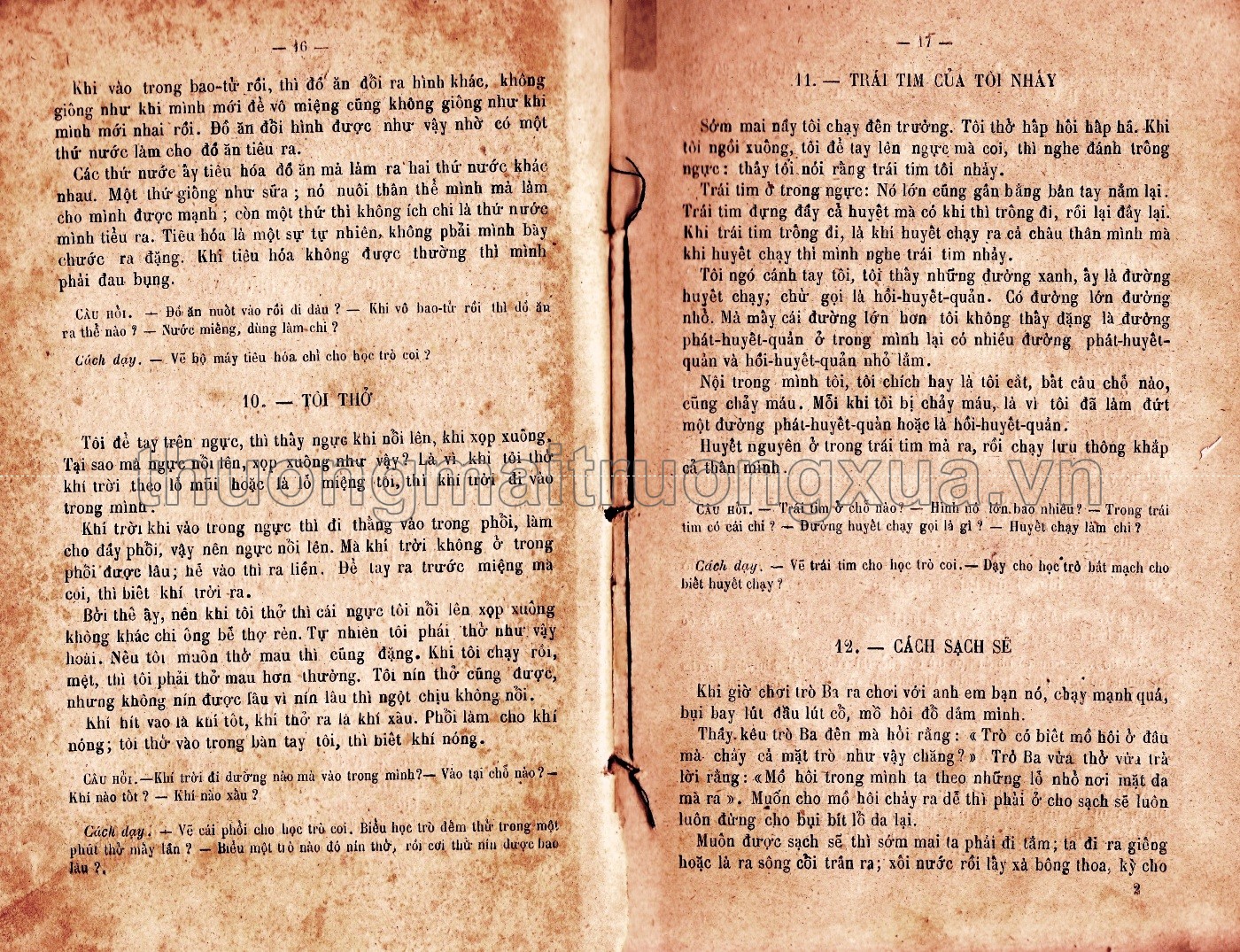 Ấu học bị thể (1916) - Trang 8