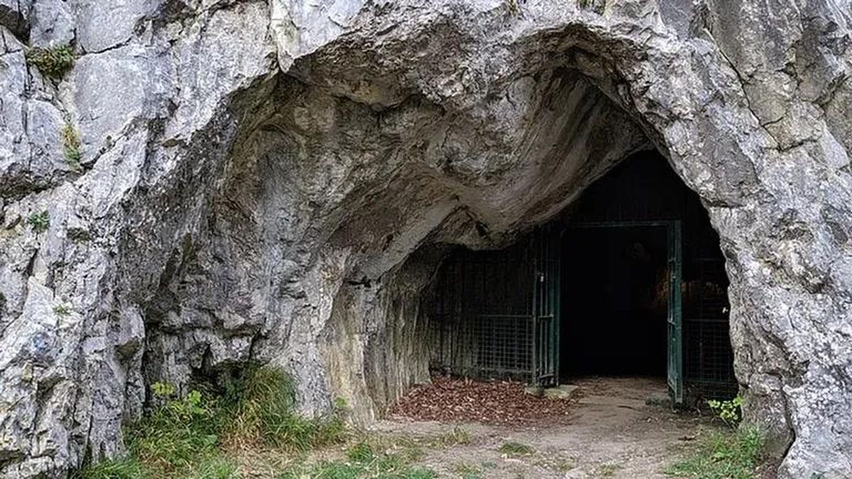 Nghiên cứu ADN hé lộ bí mật về những người Neanderthal cuối cùng - Báo Tri thức &amp; Cuộc sống