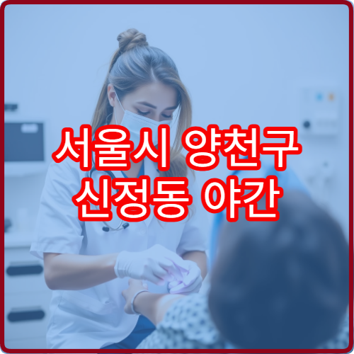 서울시 양천구 신정동 야간 진료 가능한 한의원 야간 침 치료 가능 여부
