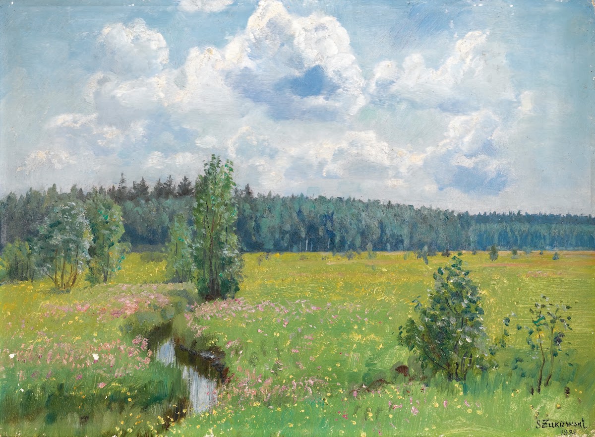 Grasslands Of The Świsłocka Forest  Scorching June 1938