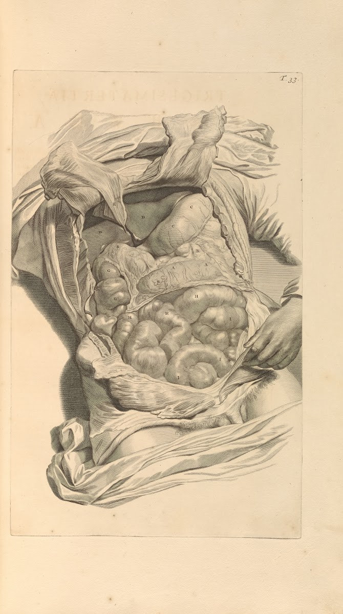 Anatomia humani corporis Pl034 1685