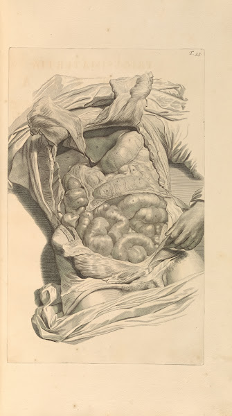 Anatomia humani corporis Pl034 1685
