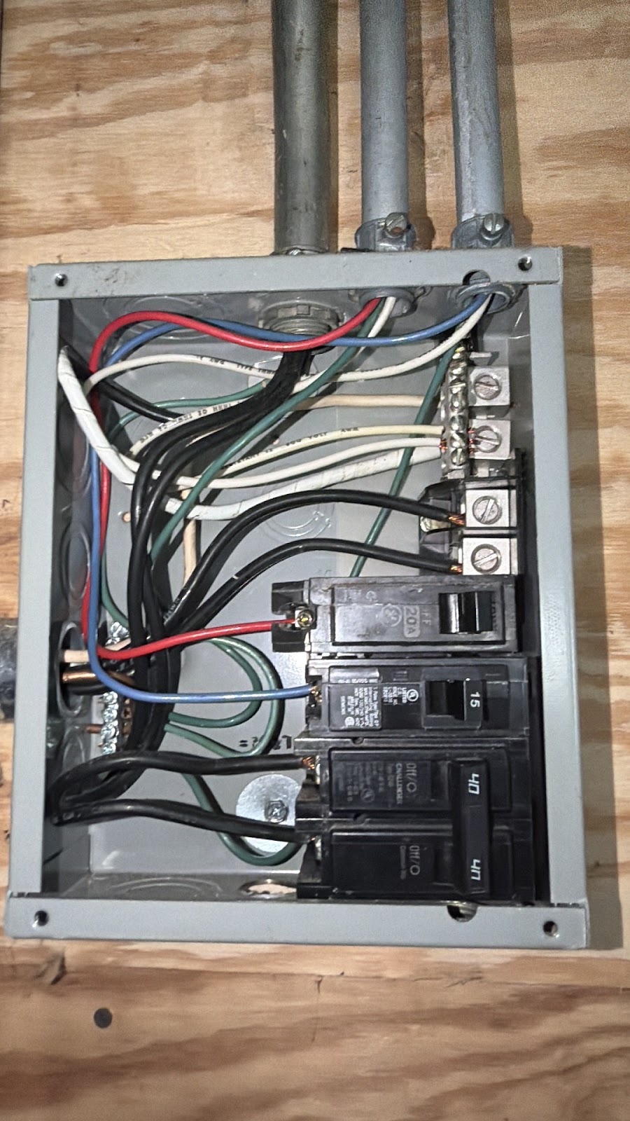 Copy of IMG_2026-03-12_16-36-33_111.jpg