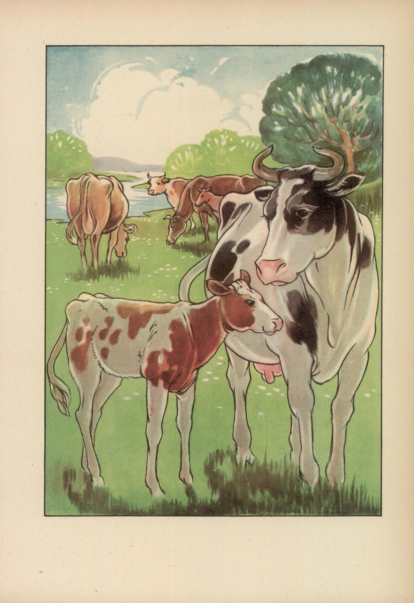 Czy już znacie Pl14 1945