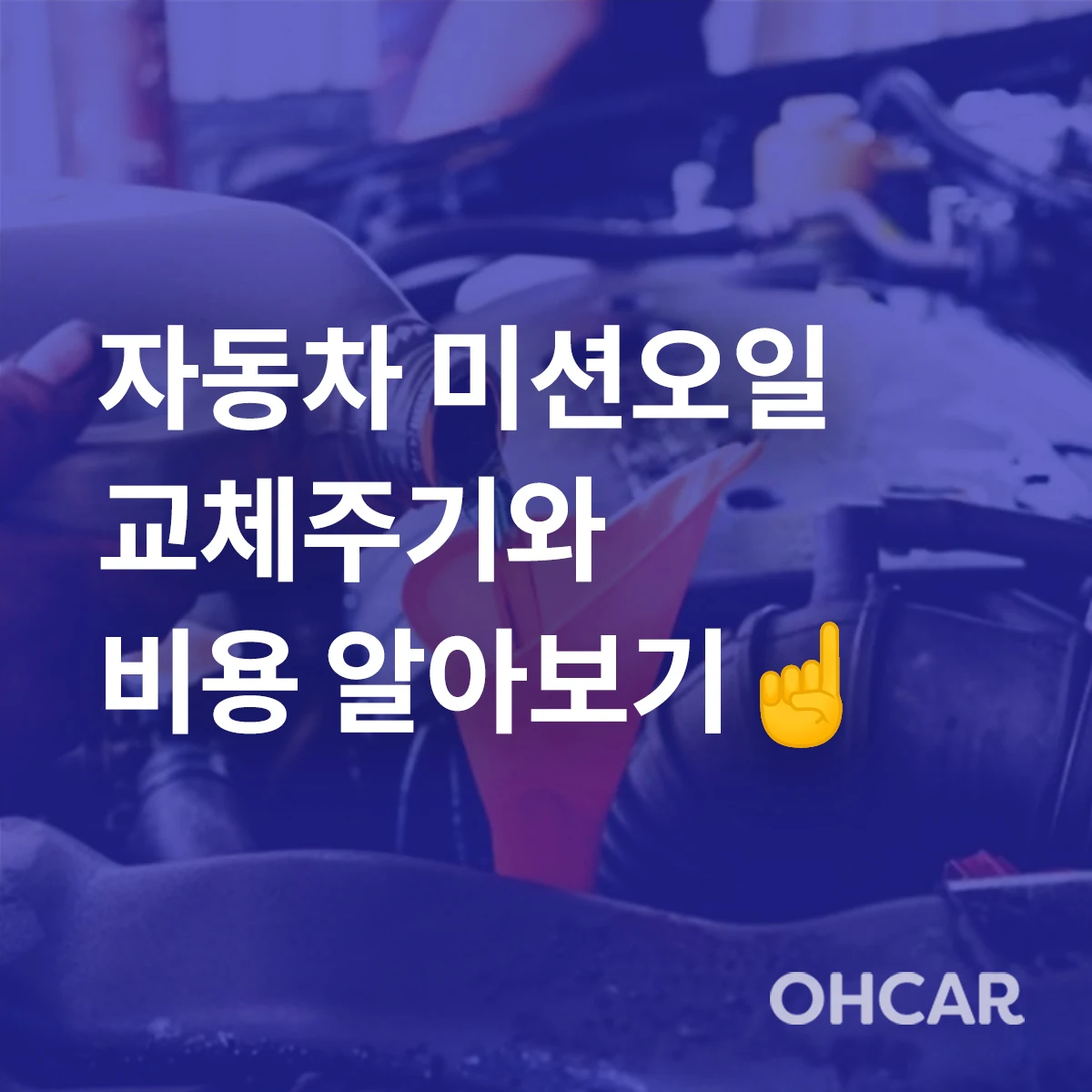 섹션 6 이미지