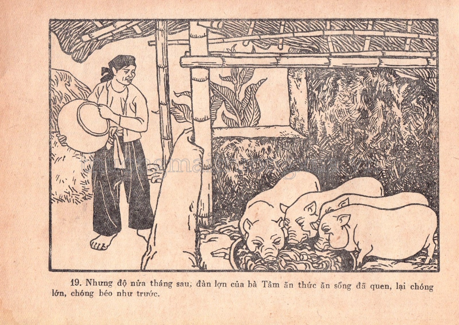 Những người chăn nuôi giỏi - Trang 47