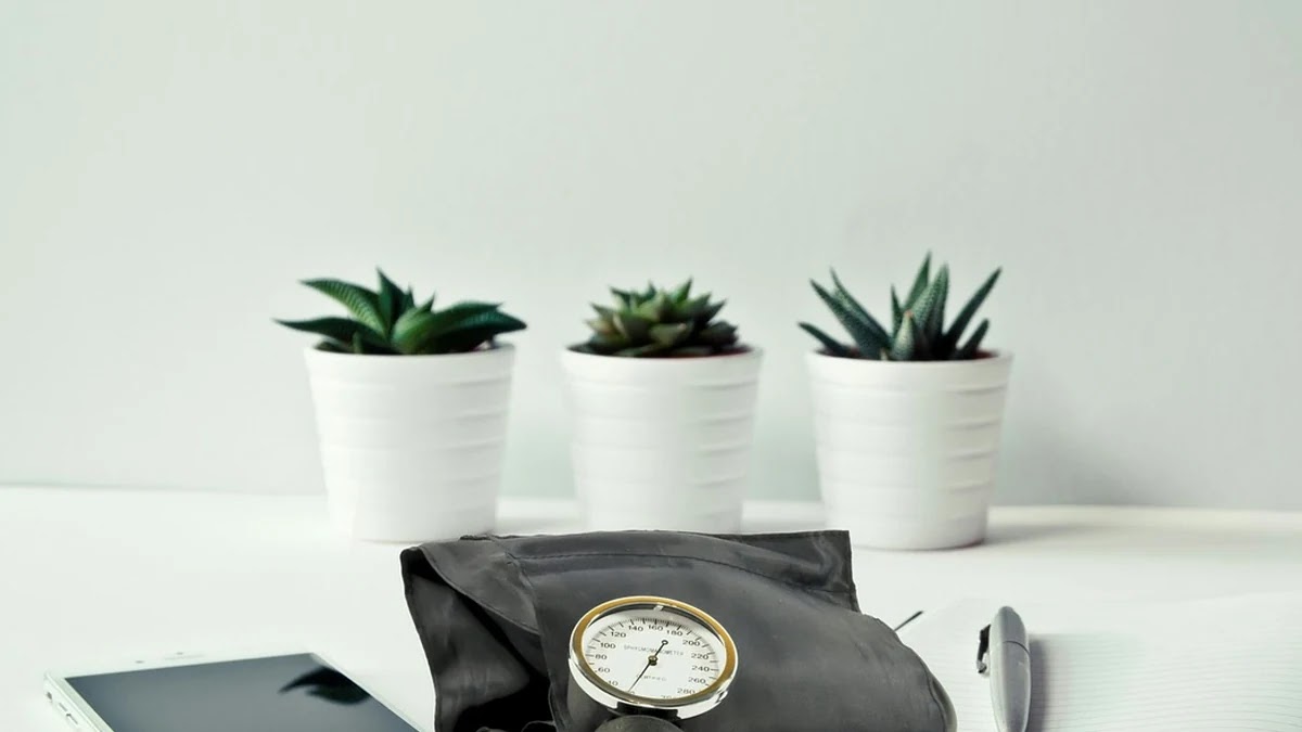 간 기능 평가를 위한 혈액 검사 수치별 의미와 정상 기준