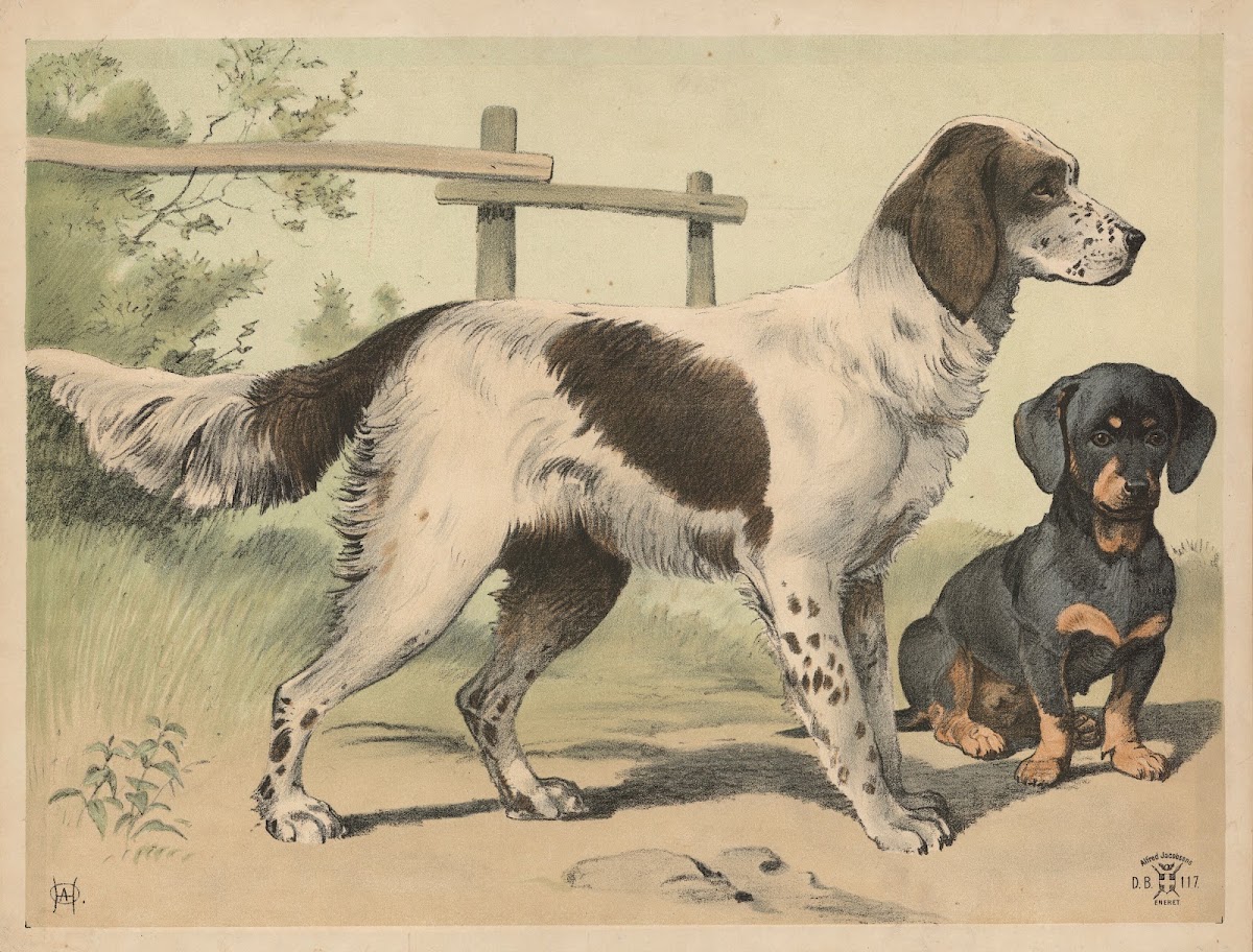 Hund 1892