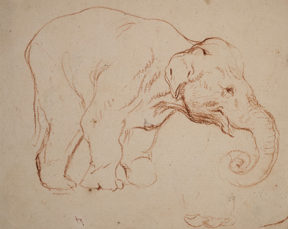 Standing elephant 1792
