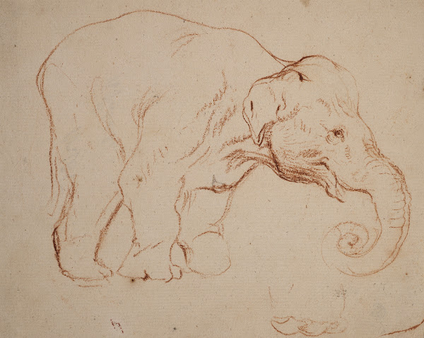 Standing elephant 1792