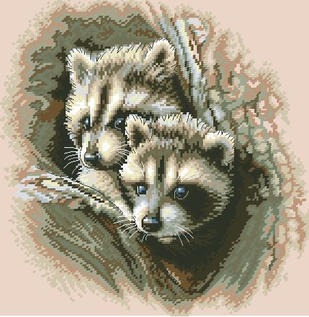 DIM35253 Two Racoon Cubs