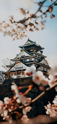 Traditional Japanese Castle Amidst Blooming Cherry Blossoms