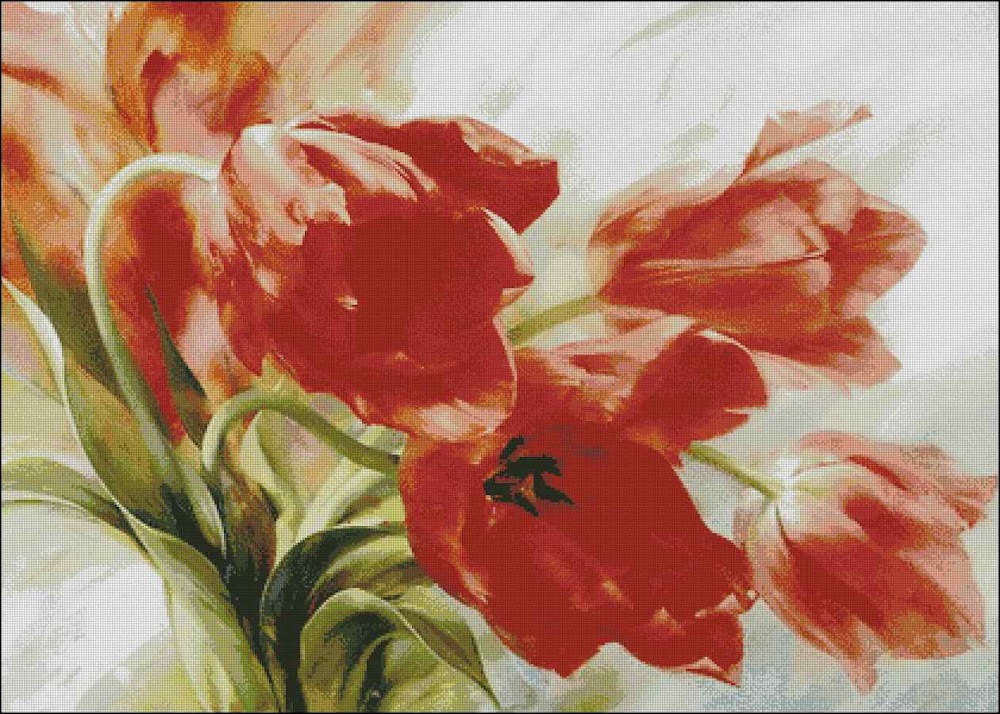 CMP 170278 Red Flowers