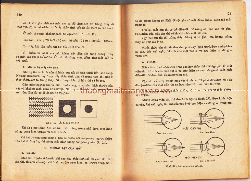 Tập san : Mực tím (số 108 - Xuân 1994) - Trang 62