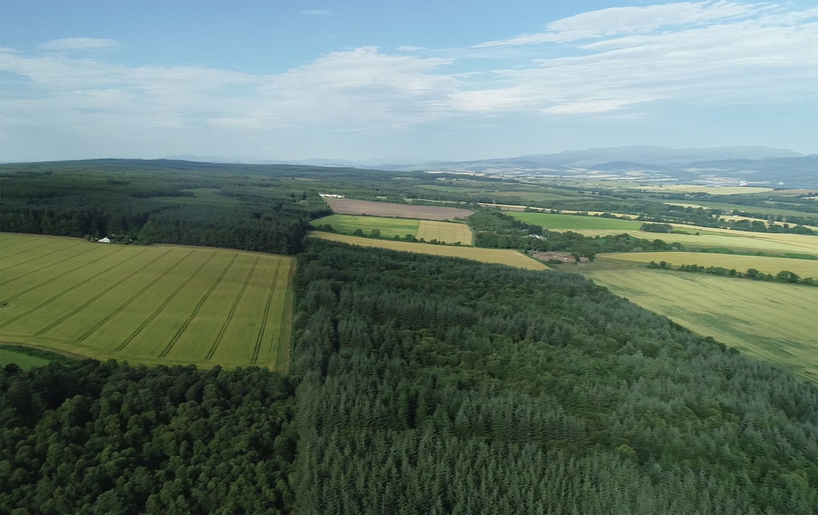 Guisachan_story_Forestry_above_Resolis_DJI_0934.jpg