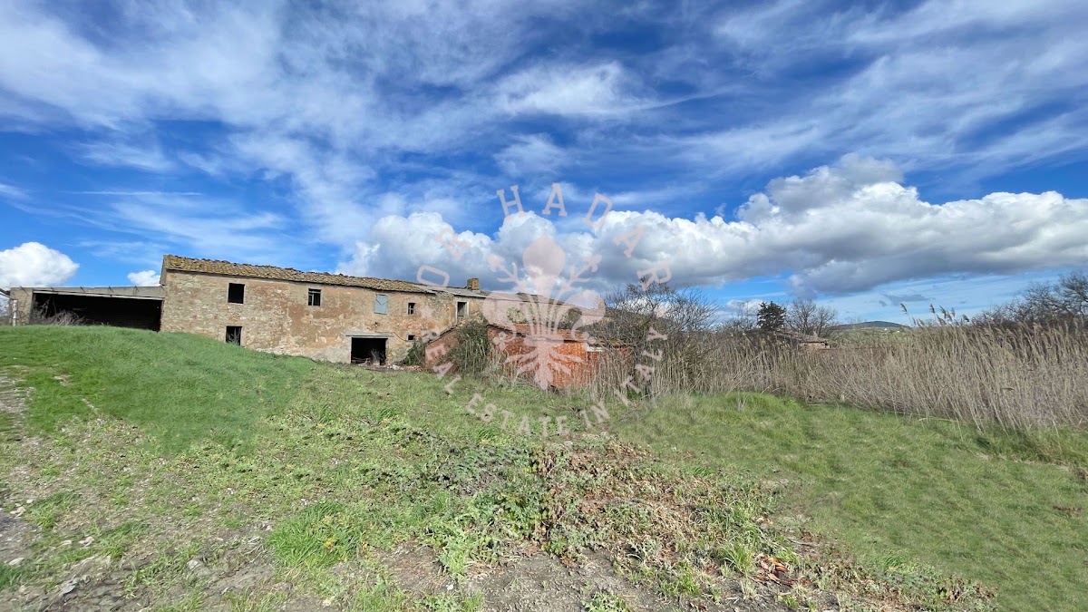 אזינדה לאסו (Azienda l'Asso) — 8