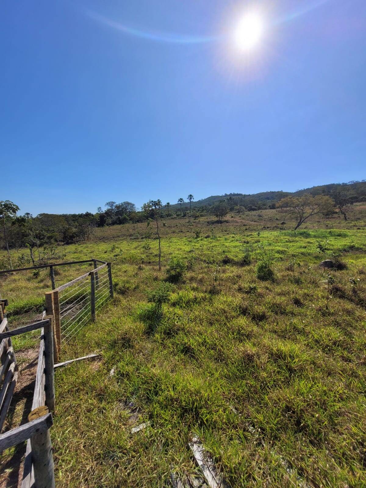Fazenda em Santa Cruz de Goiás - GO 3