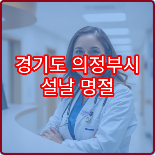 경기도 의정부시 설날 명절 응급의학과 연휴 진료 병원 24시간 외상·심장 응급 대처 가능