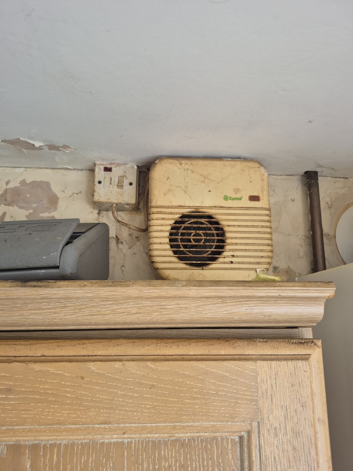 HHSRS-compliant damp and mould inspection in a Lincoln rental property