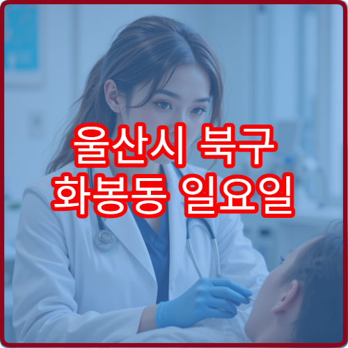 울산시 북구 화봉동 일요일 안과 진료 가능한 병원 눈 검사 진료 정보