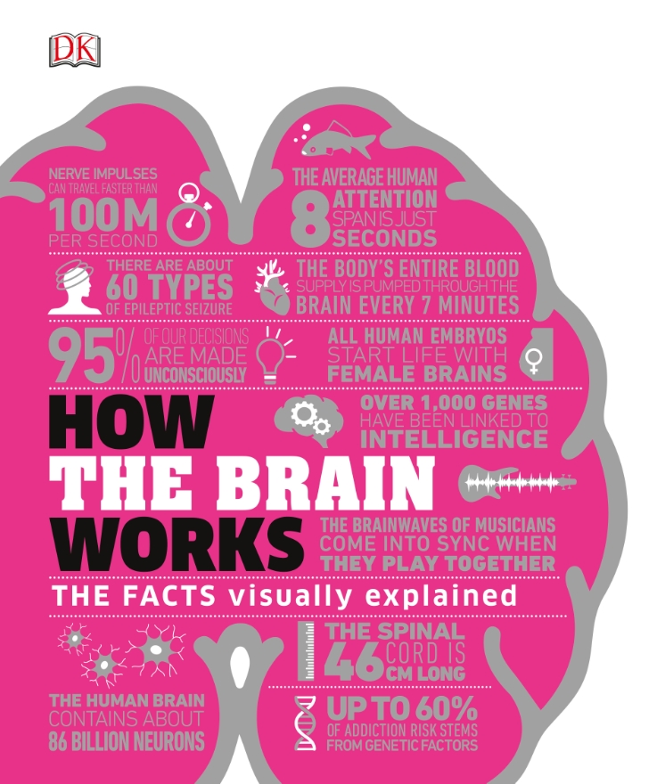 DK – How the Brain Works: The Facts Visually Explained (How Things Work) *