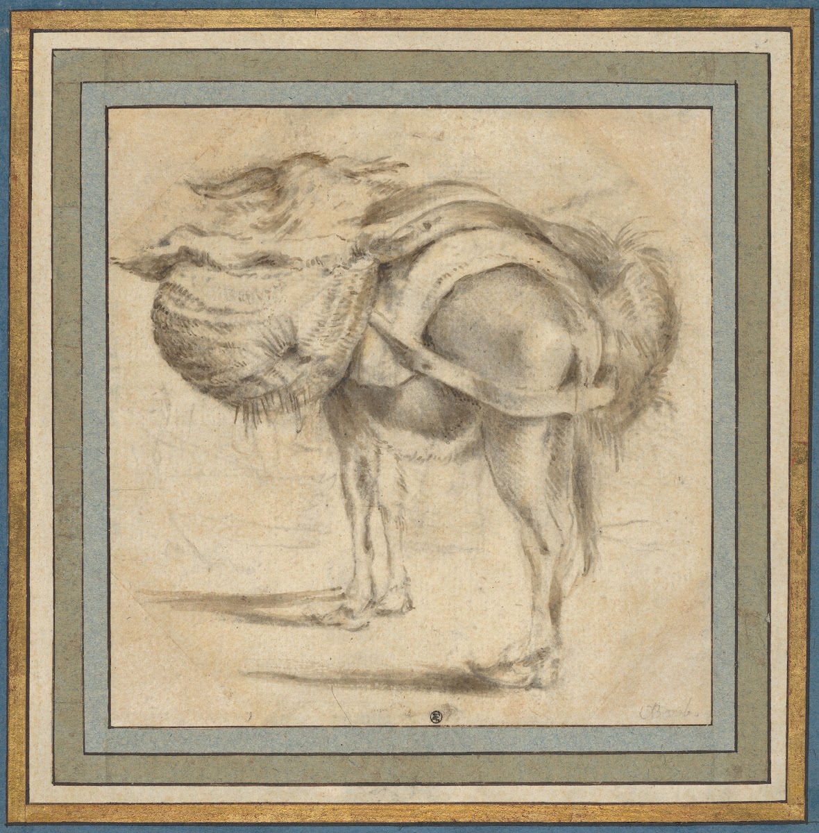 Study of a Donkey early 17th century