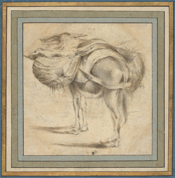 Study of a Donkey early 17th century