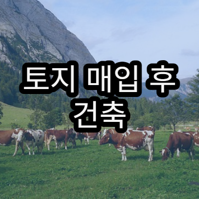 토지 매입 후 건축 허가 과정