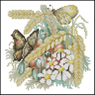 CMP 130117 Nature Butterflys