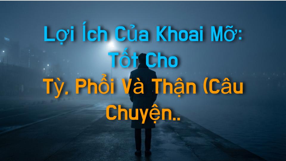 Lợi Ích Của Khoai Mỡ: Tốt Cho Tỳ, Phổi Và Thận (Câu Chuyện Có Thật)